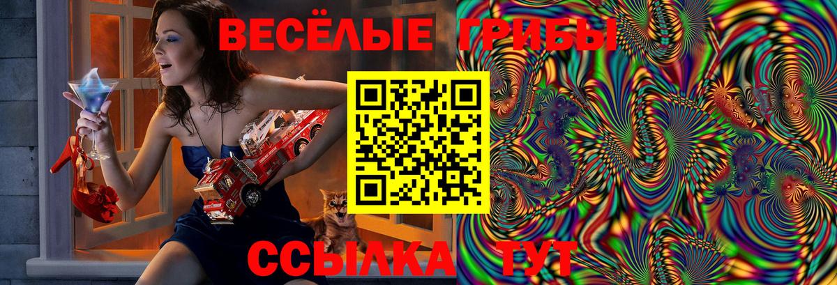 Псилоцибиновые грибы мухоморы  Вход с VPN  Псилоцибиновые грибы Magic Shrooms  Кингисепп 